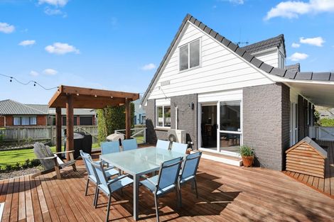 Photo of property in 15 Woodland Drive, Flagstaff, Hamilton, 3210