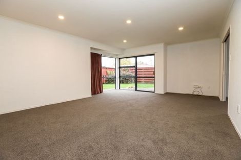 Photo of property in 74 Clarkin Road, Fairfield, Hamilton, 3214