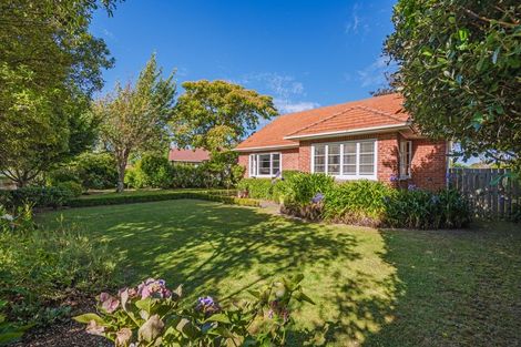Photo of property in 76 Savage Crescent, West End, Palmerston North, 4412