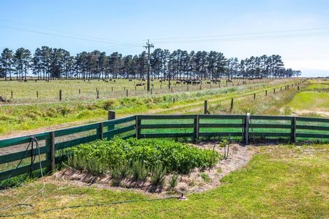 Photo of property in 589 East Coast Road, Browns Bay, Auckland, 0632