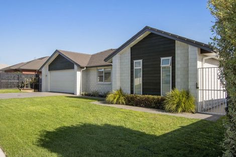 Photo of property in 91 Bert Wall Drive, Omokoroa, 3114