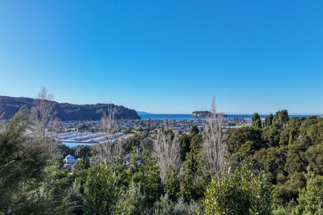 Photo of property in 113 Te Pamahue Drive, Whangamata, 3620