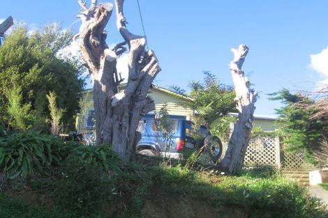 Photo of property in 34 Poto Road, Normandale, Lower Hutt, 5010