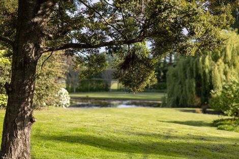 Photo of property in 212 Beach Road, Elgin, Ashburton, 7777