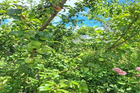 Photo of property in 14 Munson Street, Reefton, 7830