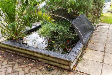 Photo of property in 11 South Belt, Solway, Masterton, 5810