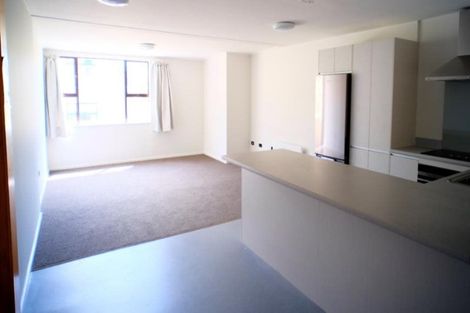 Photo of property in Te Awhina Apartments, 9/22 Sussex Street, Mount Cook, Wellington, 6021