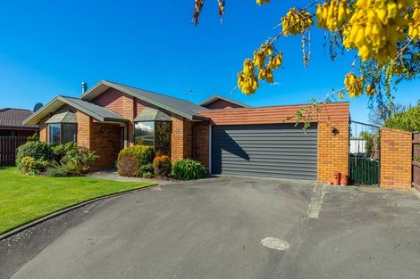Photo of property in 4 Logan Place, Blenheim, 7201