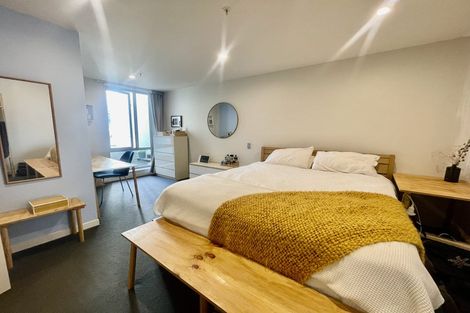 Photo of property in Republic Apartments, 1f/11 Tennyson Street, Te Aro, Wellington, 6011