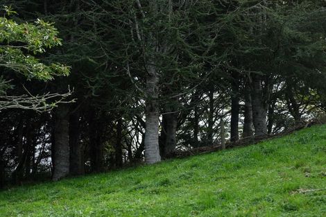 Photo of property in 211 Kimihia Road, Huntly, 3771