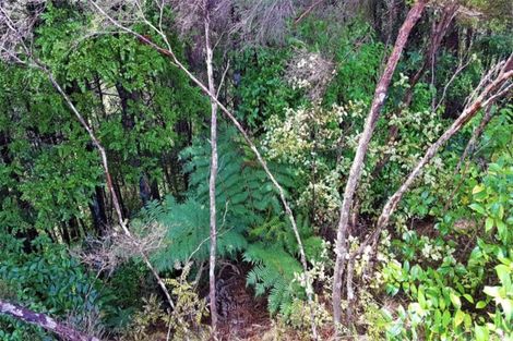 Photo of property in 243 Wright Road, Dairy Flat, Albany, 0794