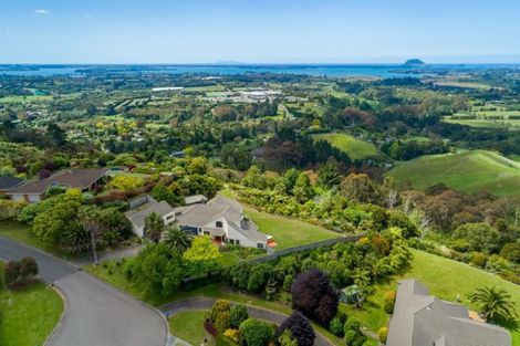 Photo of property in 17 Dawn View Place, Minden, Tauranga, 3176