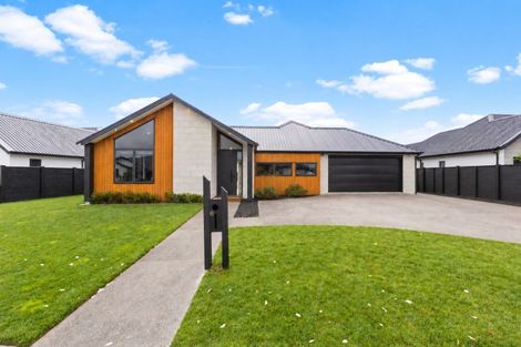 Photo of property in 6 Howie Street, Morrinsville, 3300