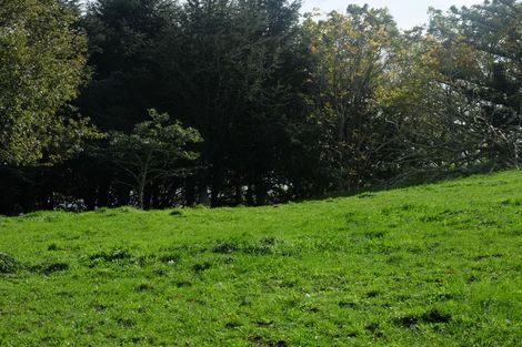 Photo of property in 211 Kimihia Road, Huntly, 3771