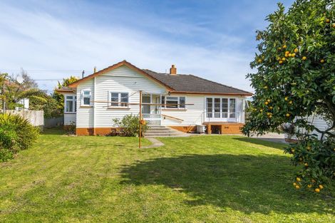 Photo of property in 20 Hannan Street, Levin, 5510