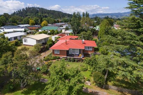 Photo of property in 22 Richmal Street, Waihi, 3610