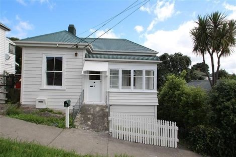 Photo of property in 8 Alexander Street, Kingsland, Auckland, 1021
