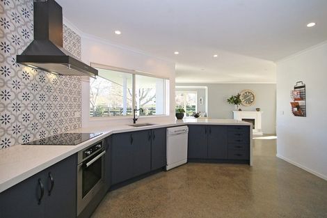 Photo of property in 133 Collinson Street, Pirongia, 3802