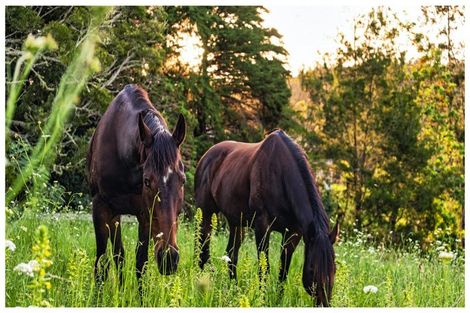 Photo of property in 59 Hartway Grove, Coatesville, Albany, 0792