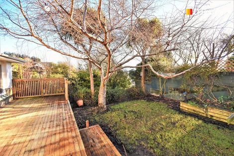 Photo of property in 17 Tweed Street, Kinmont Park, Mosgiel, 9024