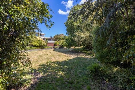 Photo of property in 34a Palm Avenue, Hokowhitu, Palmerston North, 4410