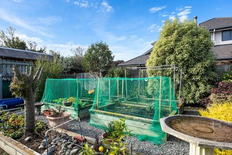 Photo of property in 16 Mcallister Place, Renwick, 7204