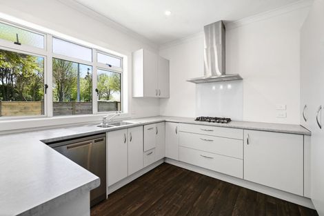 Photo of property in 111 Galloway Street, Hamilton East, Hamilton, 3216