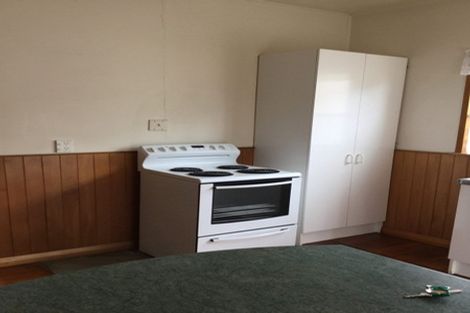 Photo of property in 56 Limbrick Street, Terrace End, Palmerston North, 4410