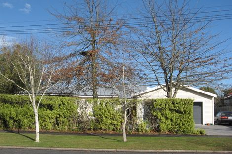 Photo of property in 6 Young Street, Claudelands, Hamilton, 3214