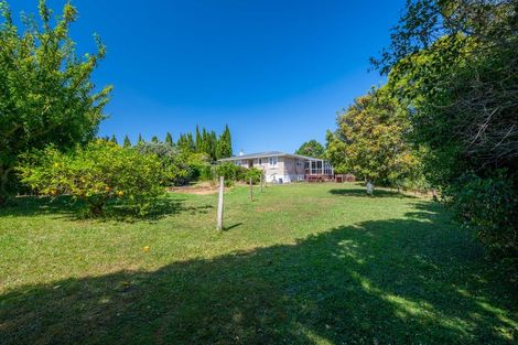 Photo of property in 68 Buscomb Avenue, Henderson, Auckland, 0610