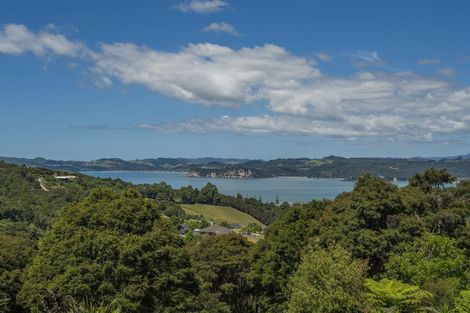 Photo of property in 49 Tarapatiki Drive, Whitianga, 3510