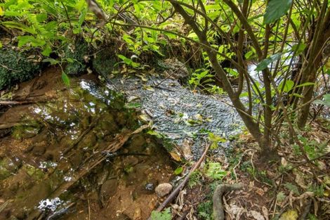 Photo of property in 49b Lloyds Lane, Oropi, Tauranga, 3173