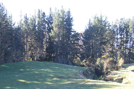 Photo of property in 65 Omori Road, Kuratau, Turangi, 3381