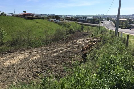 Photo of property in 46 Lewin Street, Balclutha, 9230