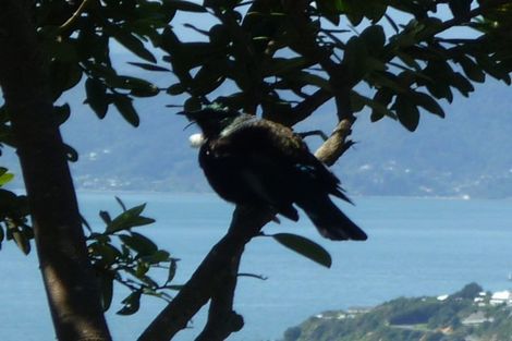 Photo of property in 23 Koromiko Road, Aro Valley, Wellington, 6012