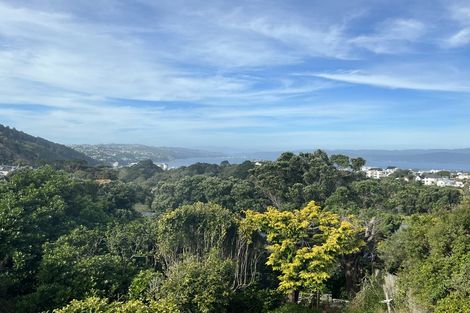 Photo of property in 127 Upland Road, Kelburn, Wellington, 6012