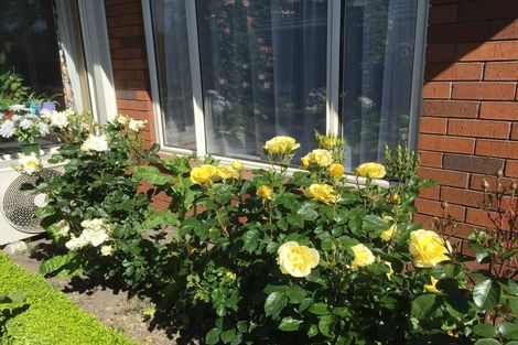 Photo of property in 43a Hounslow Street, Ilam, Christchurch, 8041