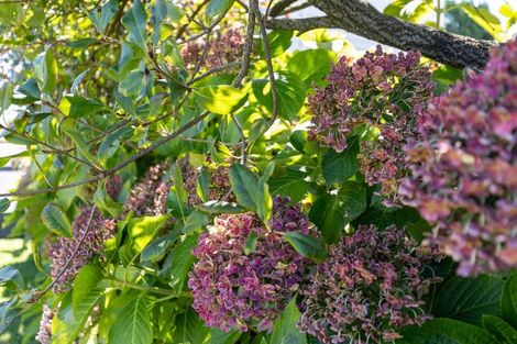 Photo of property in 20 Rayner Road, Huntly, 3700