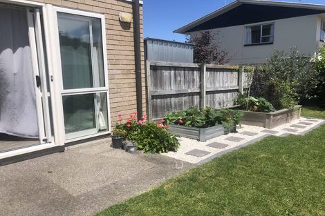 Photo of property in 69 Chiefs Court, Hamilton East, Hamilton, 3216