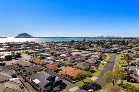 Photo of property in 58 Freyberg Street, Otumoetai, Tauranga, 3110