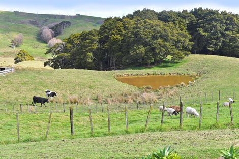 Photo of property in 301 Ranganui Road, Kaiwaka, 0573