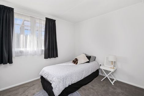 Photo of property in 229 Balmoral Drive, Tokoroa, 3420