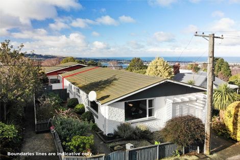 Photo of property in 17b Bruce Street, Roslyn, Dunedin, 9011