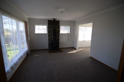 Photo of property in 20 Elizabeth Street, Levin, 5510