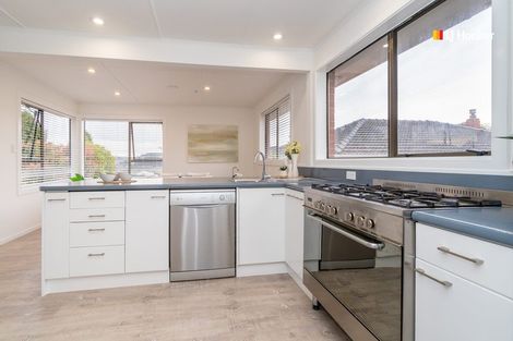 Photo of property in 19 Koremata Street, Green Island, Dunedin, 9018