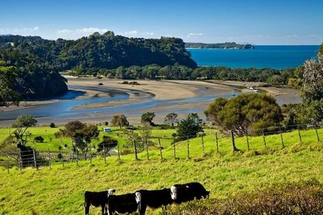 Photo of property in 1254 Hibiscus Coast Highway, Puhoi, Warkworth, 0994