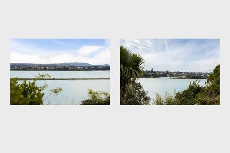 Photo of property in 51a Ririnui Place, Maungatapu, Tauranga, 3112