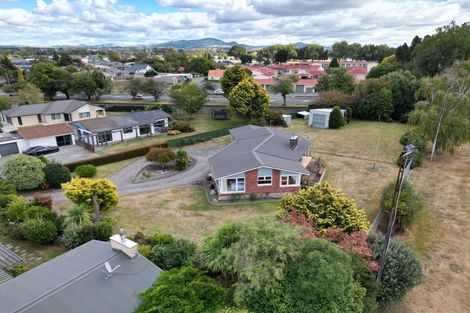 Photo of property in 31 Rata Street, Matamata, 3400