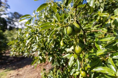 Photo of property in 63a Snodgrass Road, Te Puna, Tauranga, 3174