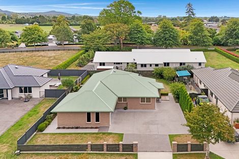Photo of property in 18 Mckenzie Place, Matamata, 3400